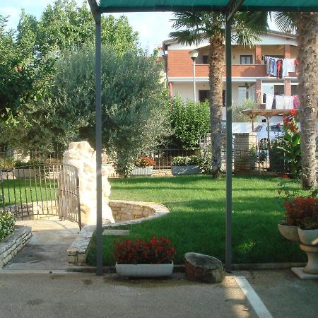Apartments And Rooms Branka Novigrad (Istria) Exterior foto